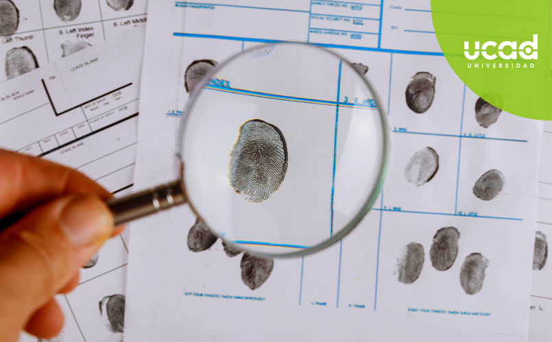 Diferencia entre un técnico forense y un criminalista