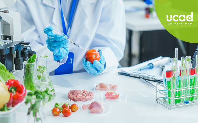 ¿Qué son los alimentos transgénicos?